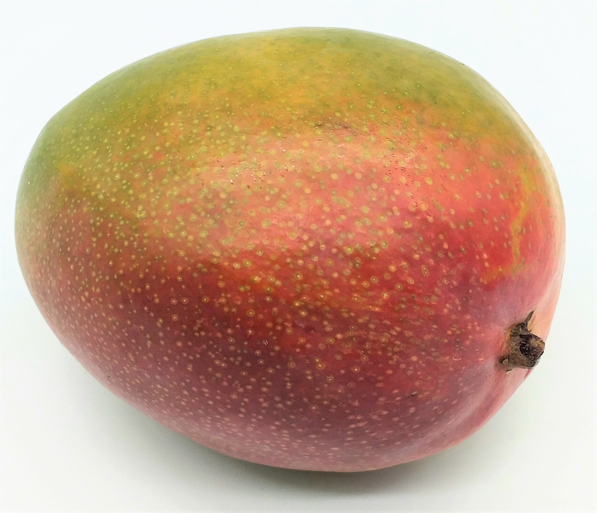 Mango 1 Stück ca. 351-550g