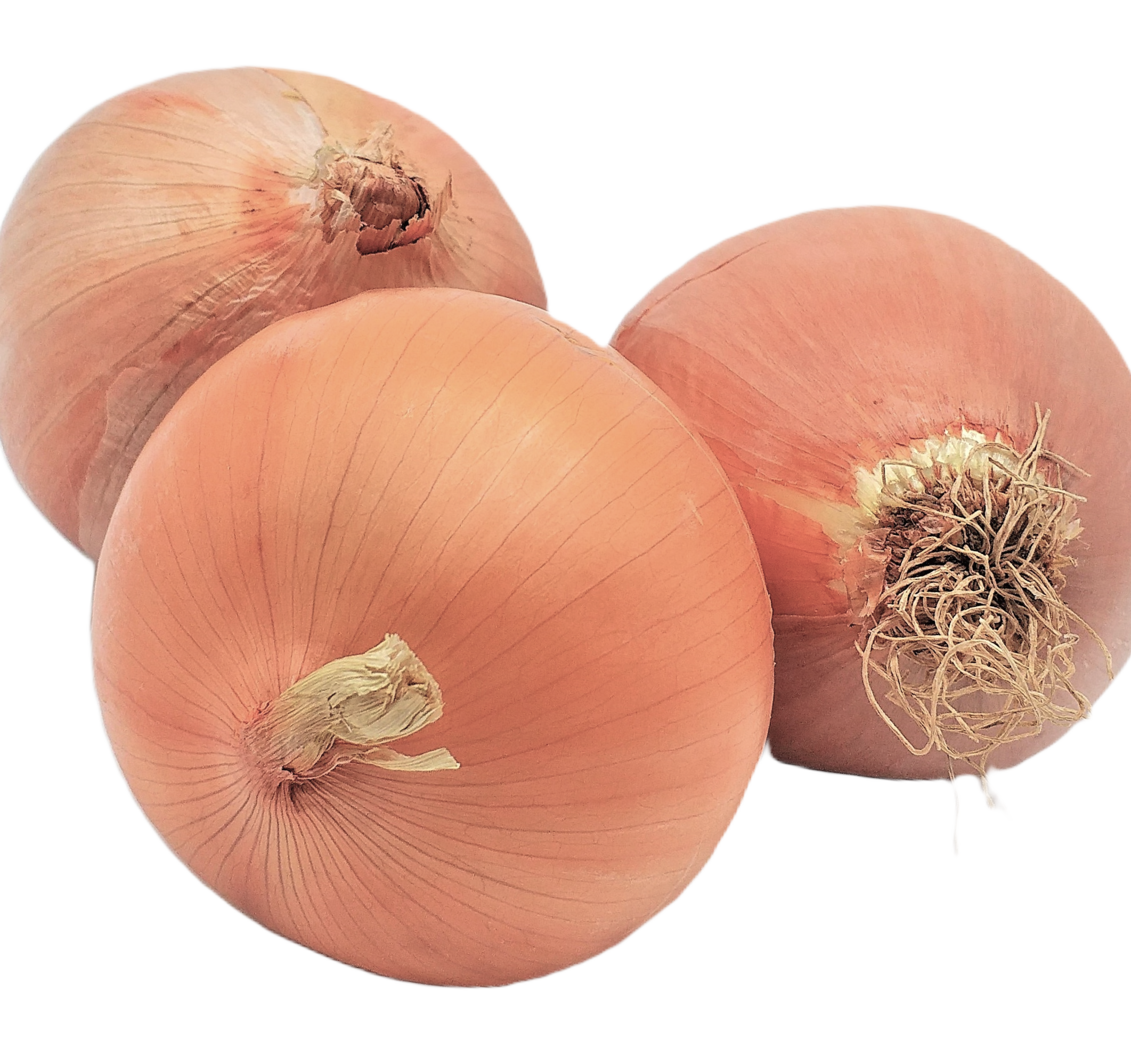 Haushaltszwiebeln 500g