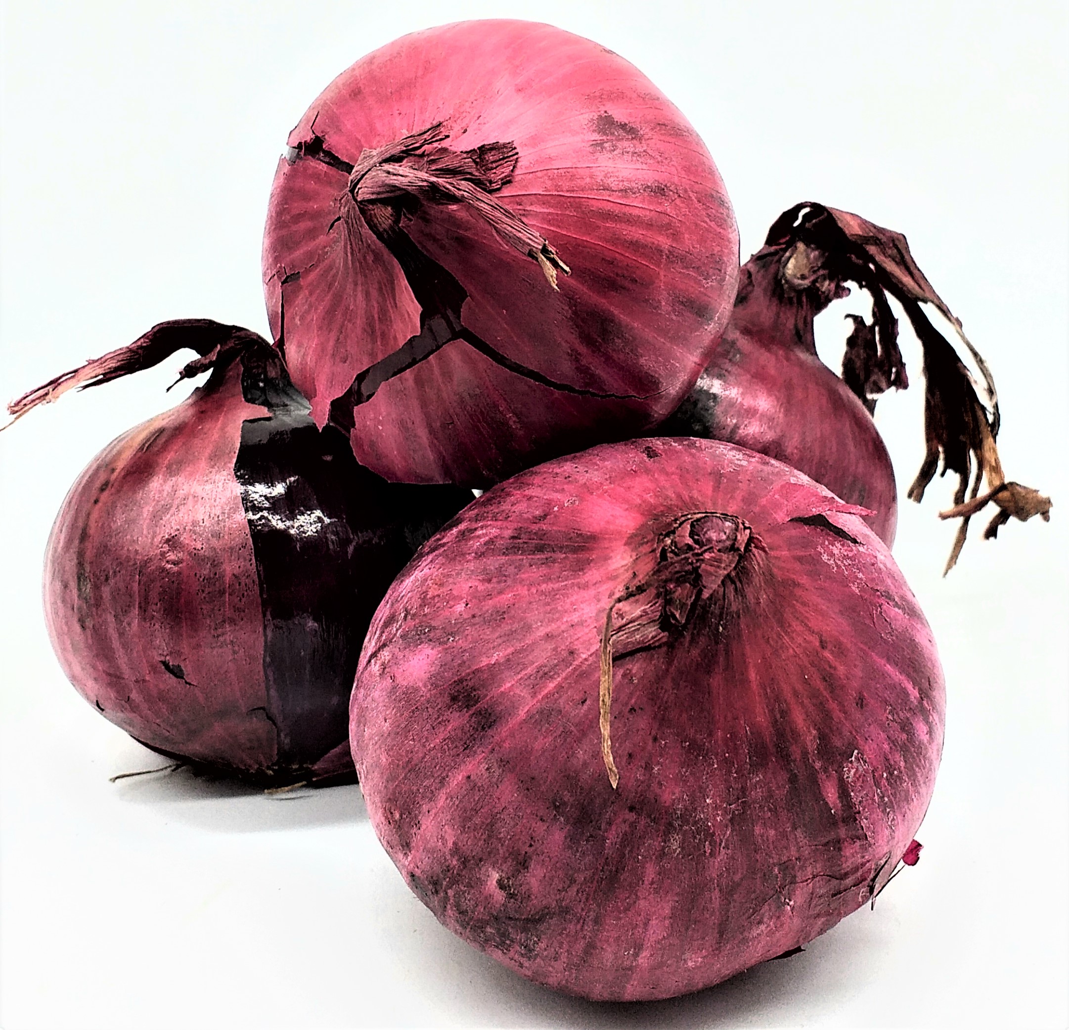 Zwiebel rot  1kg