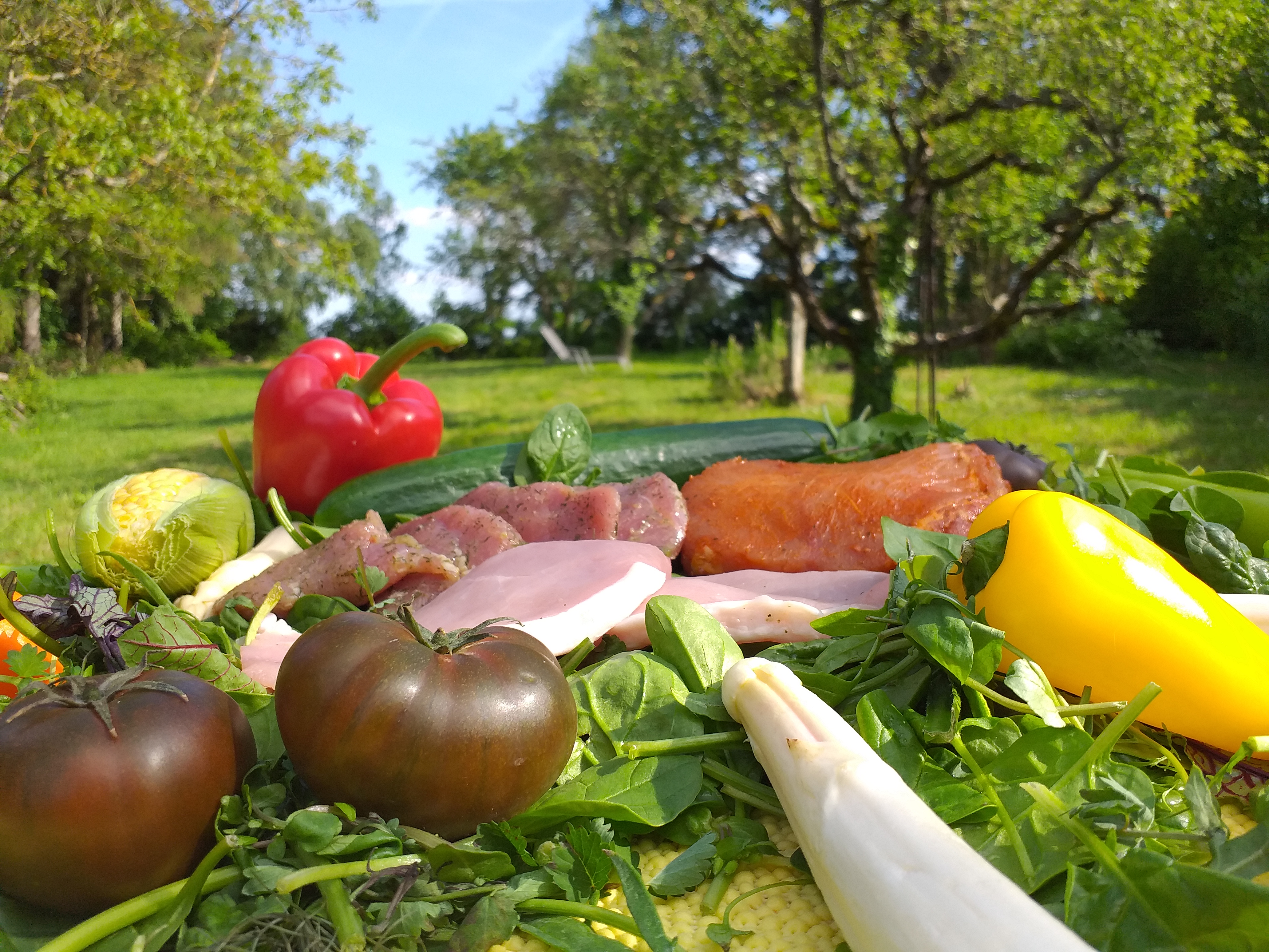 Vorbestellung nutzen