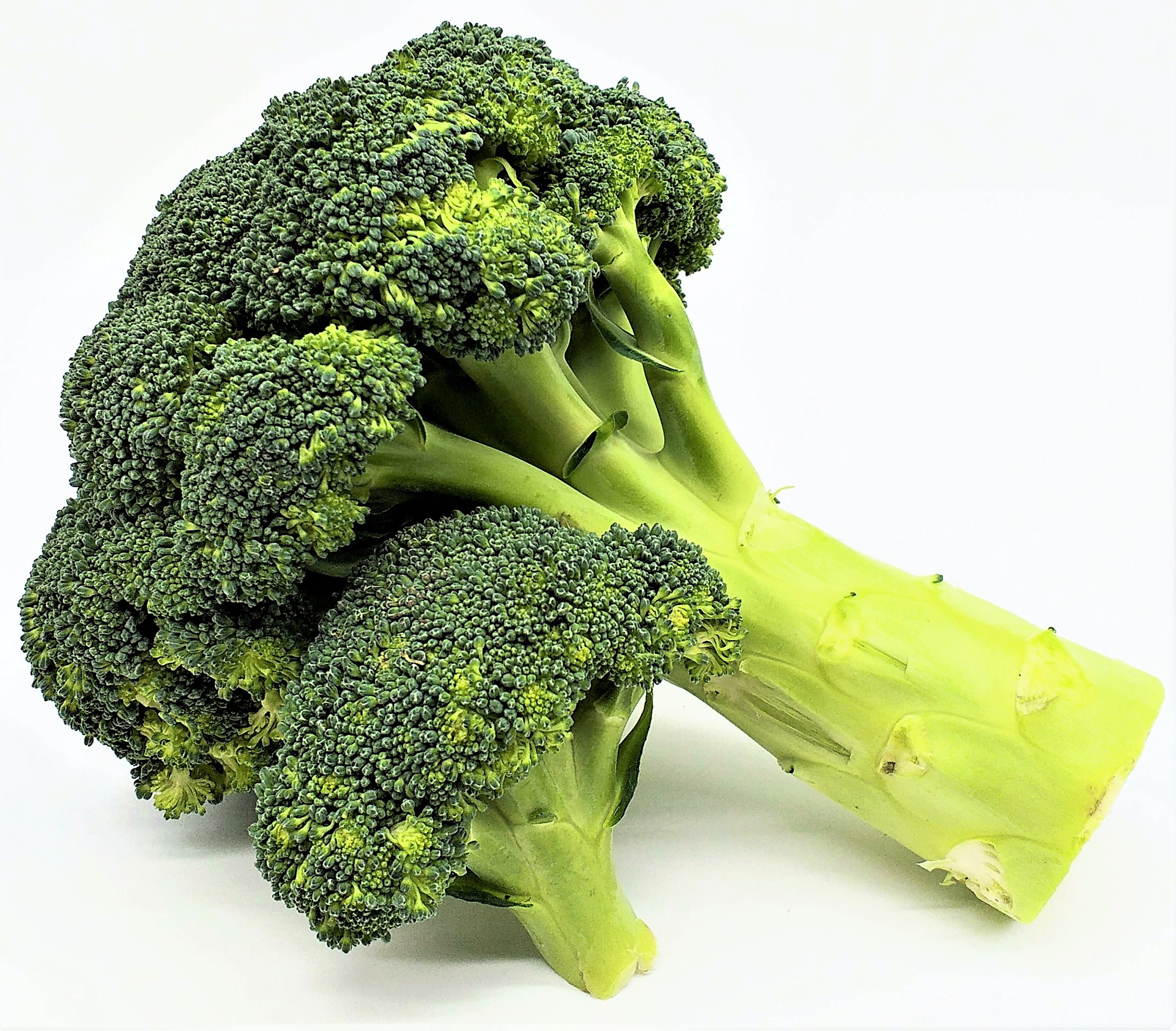 Broccoli 1 Stück ca. 400g