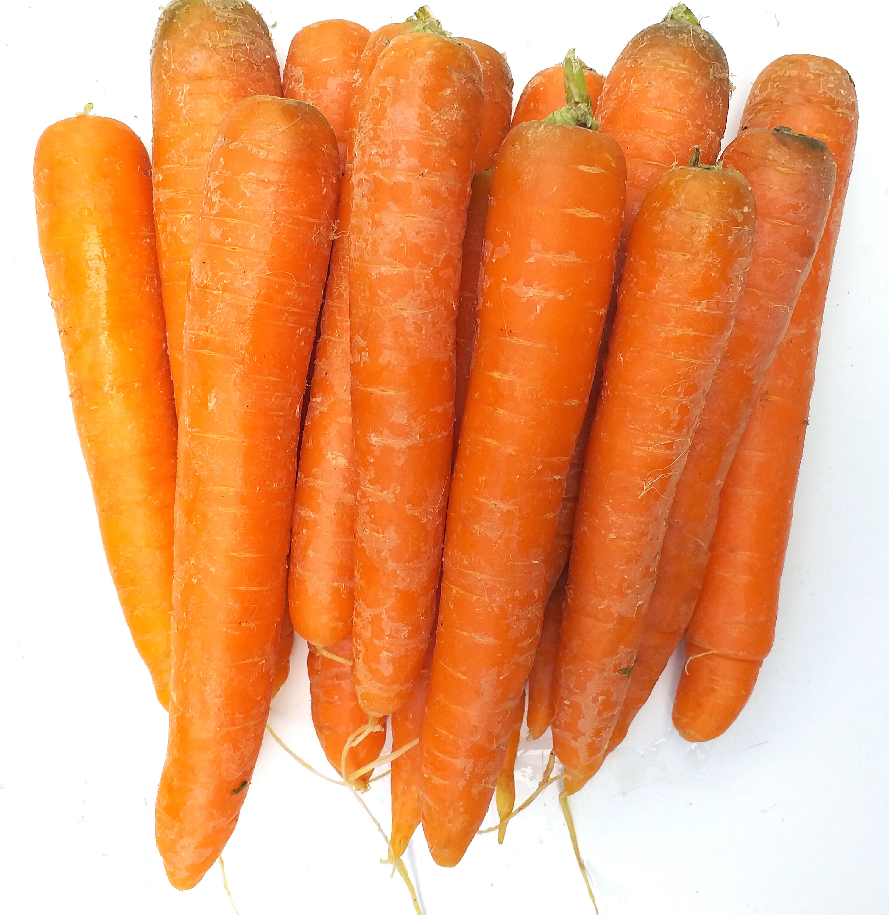 Karotten 500g 