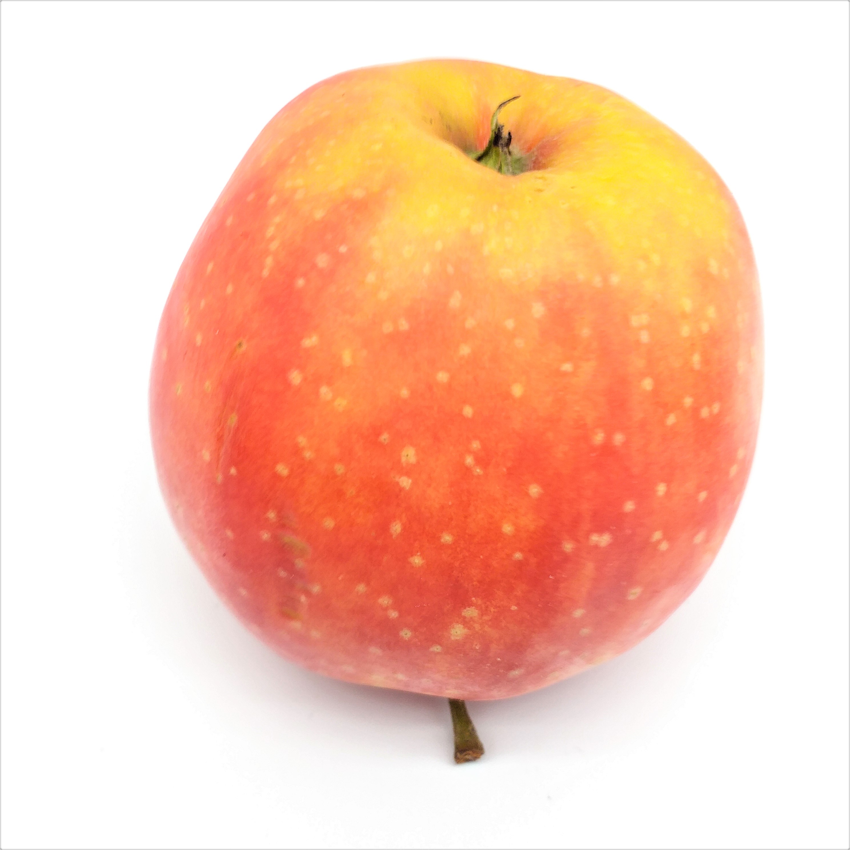 "Regional" Äpfel Pinova 1 kg