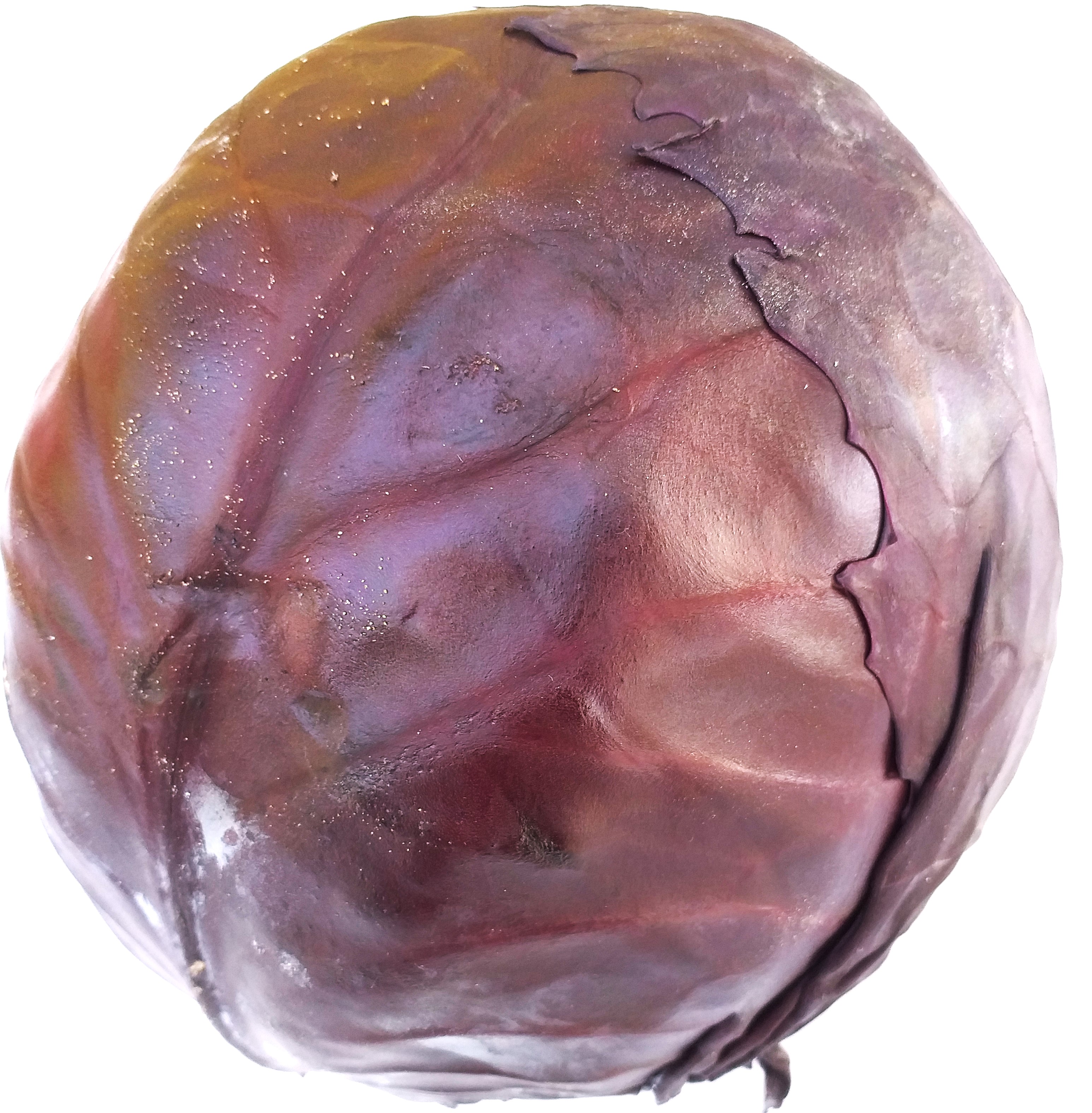 Rotkohl ca. 1,5 kg, 1 St.