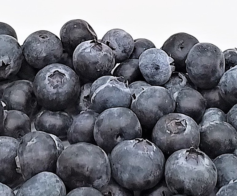 Heidelbeeren 125g