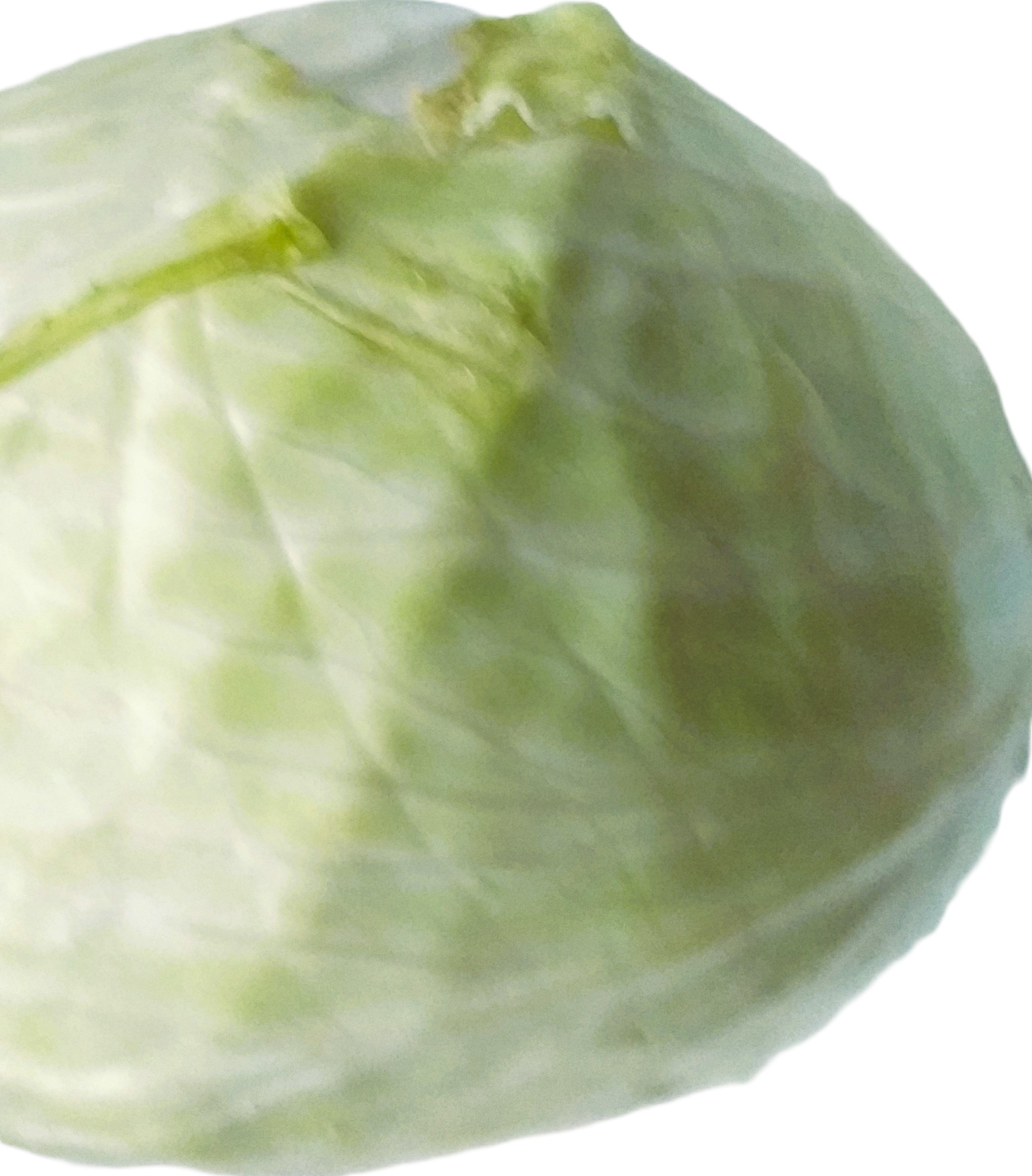 Weißkohl 1 Stück ca. 1200g