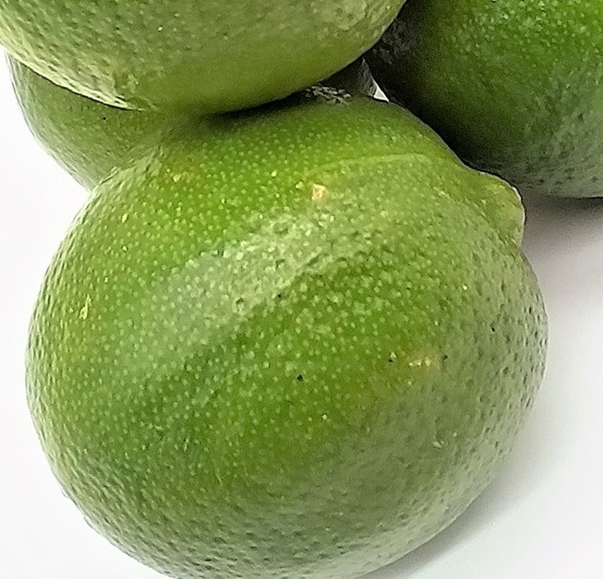 Limette 1 Stück 
