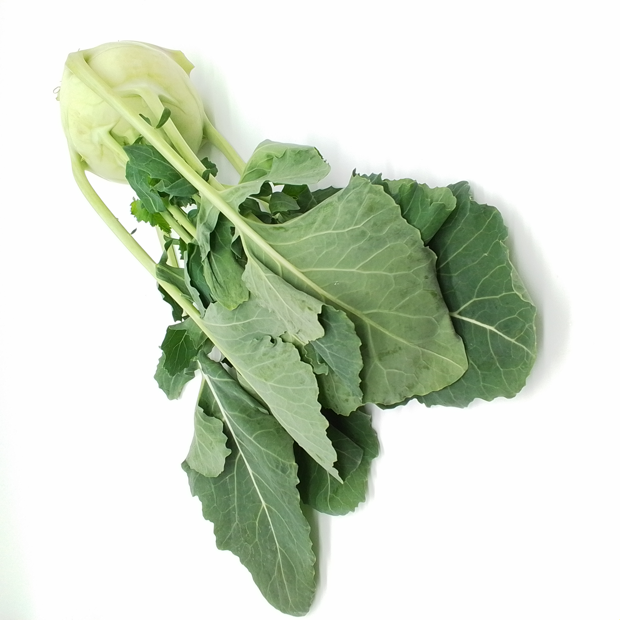 Kohlrabi 1 Stück